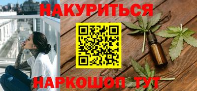 индика Кингисепп