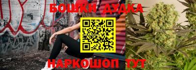 индика Кингисепп