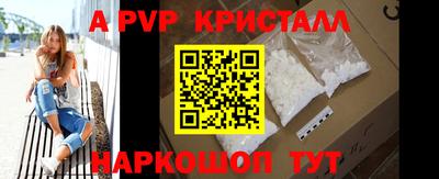 индика Кингисепп