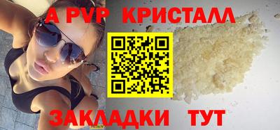 индика Кингисепп